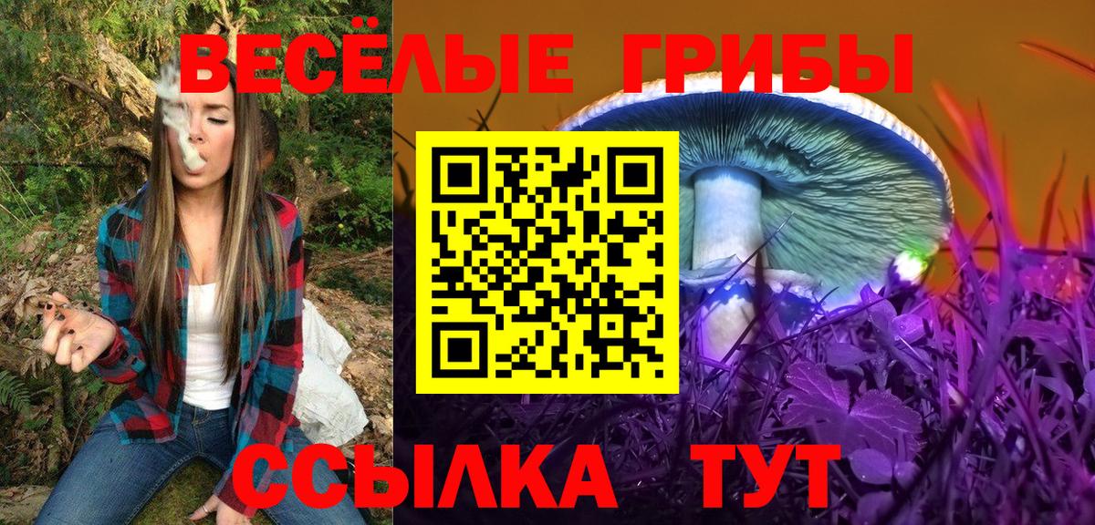 Галлюциногенные грибы MAGIC MUSHROOMS Домодедово