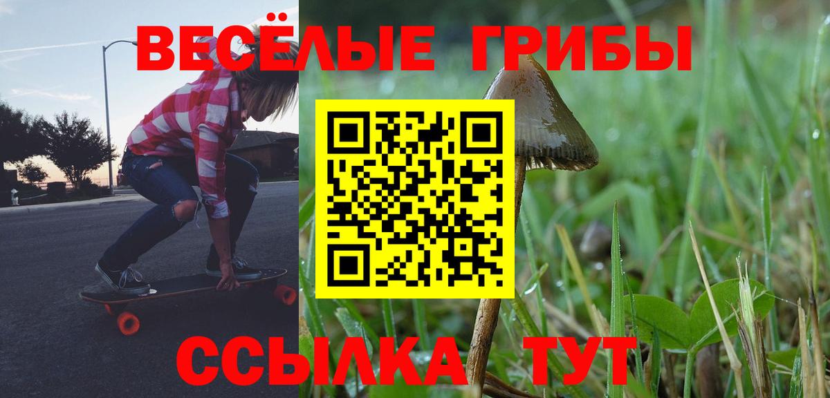 где найти   Вход с VPN  Домодедово  Псилоцибиновые грибы мухоморы  Галлюциногенные грибы прущие грибы 